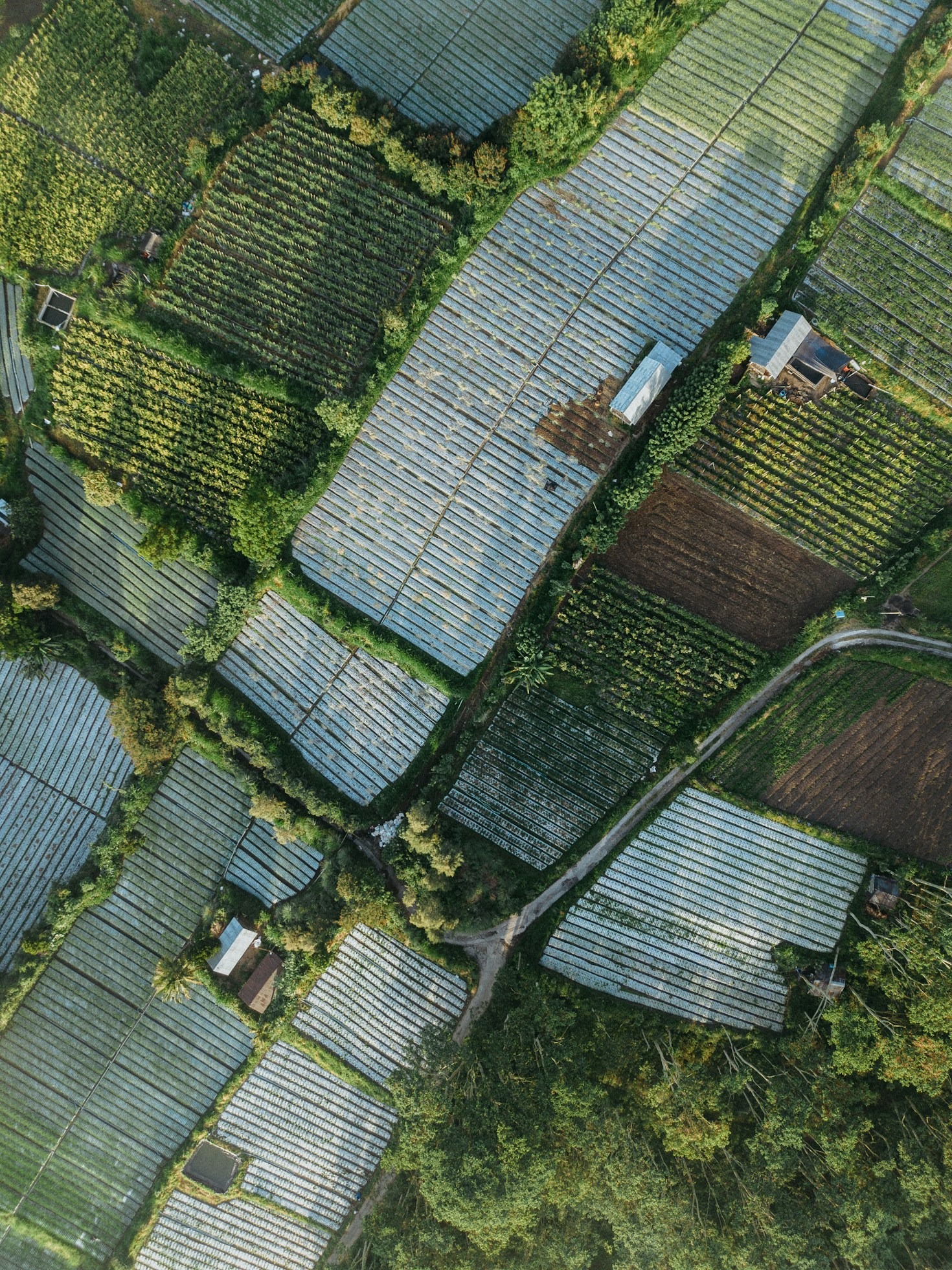 Habitação Rural: Construindo Dignidade e Conforto no Interior Baiano